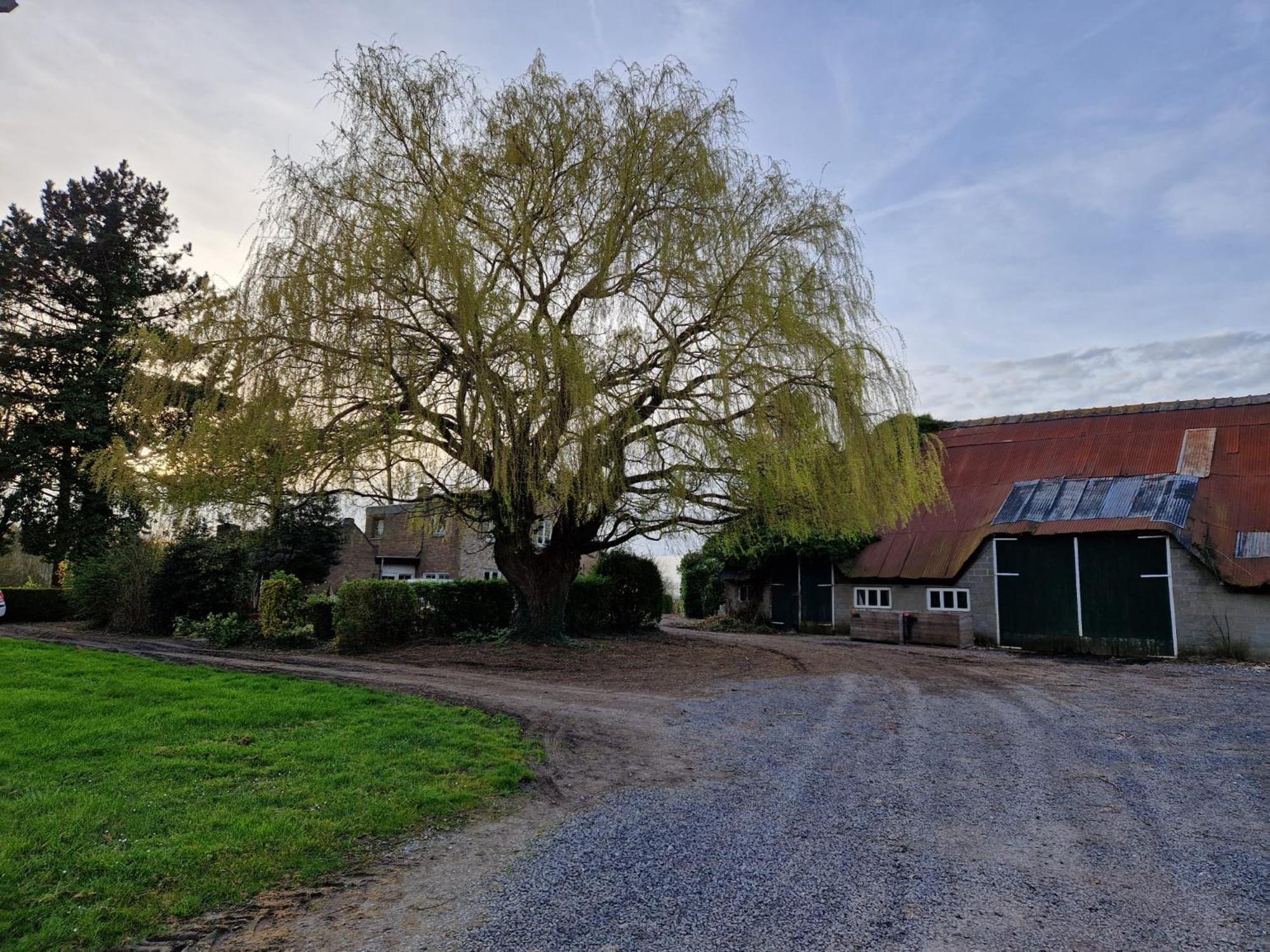 Villa De Bedstee Schoondijke Exterior foto